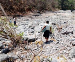 Ríos que recorrían diferentes municipios del sector sur del país y que nunca habían dejado de tener agua en verano, hoy lucen completamente secos. (FOTOS: Marvin Salgado)