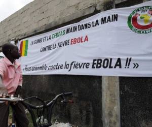 Un niño observa un cartel sobre el ébola en Abidjan, Costa de Marfil, que limita con Liberia y Guinea, países afectados por el virus. (Foto: AFP)