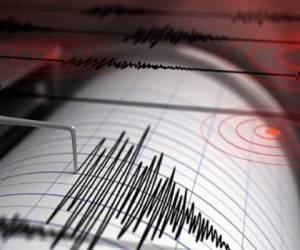El centro nacional de alertas de tsunami estadounidense informó que está analizando el temblor 'para determinar el nivel de peligro'.