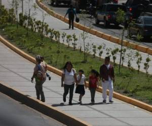 La Alcaldía Municipal, será la encargada de darle mantenimiento a la infraestructura de Trans 450.