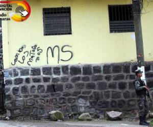 Entre el barrio El Bosque y la colonia El Picachito, la pelea entre la Mara Salvatrucha y 'El combo que no se deja' es explícita.