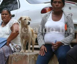 Julia se acerca a los familiares que llegan a la morgue capitalina para verificar si son sus amos. Foto: Estalín Irías.