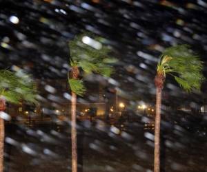 La lluvia cae sobre las palmeras cuando el huracán Harvey llega a tierra, el viernes. Foto: Agencia AP.