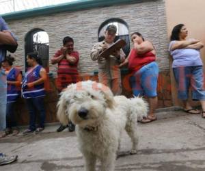 La astucia de Dogui evitó que el incendio dejara víctimas que lamentar (Foto: Estalin Irías/ El Heraldo Honduras/ Noticias de Honduras)