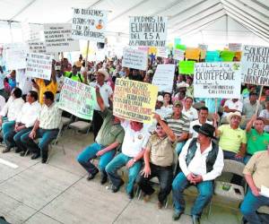 Productores llegaron al Ihcafé. (Foto: El Heraldo Honduras)