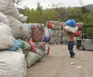 Algunos capitalinos obtienen dinero por medio del reciclaje. Foto: Alejandro Amador/EL HERALDO.