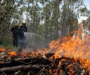 Según reportes del Cuerpo de Bomberos en la capital se presentan a diario tres incendios forestales. Foto: El Heraldo.