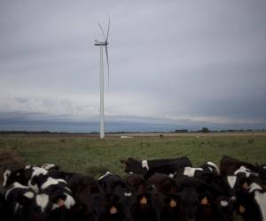 Uruguay genera casi toda su electricidad de fuentes renovables. Energía eólica en un parque cerca de Montevideo. (Nicolas Garcia/Agence France-Presse — Getty Images)
