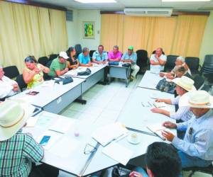 El INA ha sentado en la mesa de negociaciones a los grupos campesinos, pero hay otros que demandan más tierras, tal como lo prometió el gobierno.