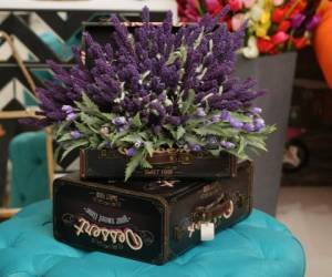 tilice esta flor de lavanda para que sea el centro de atención de su sala. La planta es de la tienda Libelula. / Foto: David Romero