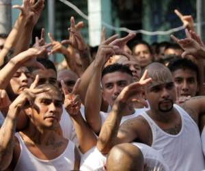 Las pandillas Mara Salvatrucha (MS-13) y Barrio 18, las principales del país pactaron en marzo de 2012 una tregua a la que se sumaron otras pandillas minoritarias.