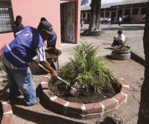 Las jardineras de la Escuela Doctor Esteban Mendoza fueron mejoradas con ayuda del personal de la Alcaldía.