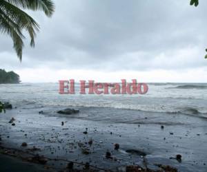 Esta tarde ya se comenzaba a sentir la fuerza del huracán María en algunas islas de El Caribe. (Foto: AFP/ El Heraldo Honduras, Noticias de Honduras)