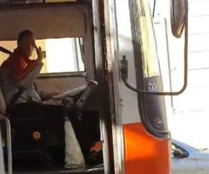 El empresario asegura que “en el bus ¡se portan muy bien! Viajan relajados porque cada uno tiene su espacio. ¡Les gusta mucho!”. Foto: Captura de video Twitter.