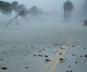 Las autoridades adviertes de inundaciones como Tsunami cuando regrese el agua que el viento está moviendo hacia el alta mar. (Foto: AFP/ El Heraldo Honduras, Noticias de Honduras)