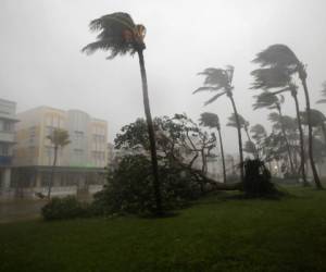 Tres pensionistas del establecimiento ubicado en Hollywood, al norte de Miami, murieron en el lugar y otros dos en un hospital, luego de ser evacuados, indicó Barbara Sharief alcalde del condado, según la cadena WSVN TV.