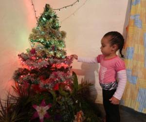 En la aldea Cofradía, la familia Montalván Torres tiene lista su casa para el baile del 24. Los nacimientos son tradición en Río Abajo. Árbol navideño y pesebre de la señora Esmeralda Alcerro. Foto: Marvin Salgado/EL HERALDO.