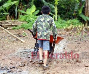 En el marco del Día Mundial contra el Trabajo Infantil, la organización que promueve ayuda humanitaria y desarrollo presentó su estudio sobre esta problemática abordada desde el contexto internacional y la situación nacional. Fotos: Marvin Salgado/ EL HERALDO.