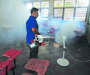 Al menos unas 100,000 viviendas fueron intervenidas para corroborar que los criaderos del mosquito Aedes aegypti fueran destruidos.