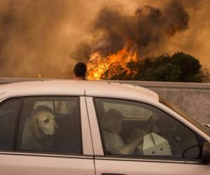 La declaración del estado de emergencia, que permite activar recursos federales, fue declarado en Montana y el estado de Washington. (Foto: AFP/ El Heraldo Honduras/ Noticias de Honduras)