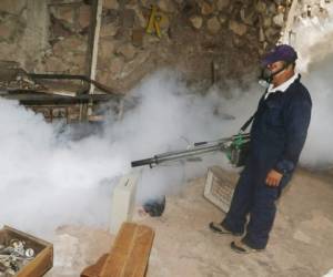 Las autoridades de Salud informaron que desde hoy se comenzarán a realizar intensas fumigaciones cada tres días, por tres veces. La meta es intervenir toda la ciudad lo antes posible. Foto: Efraín Salgado/EL HERALDO.