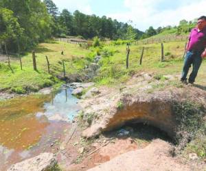 No obstante, la deforestación sí ha afectado las nacientes de agua de la cuenca del río Guacerique.