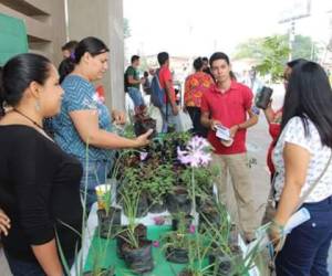 Foto: El Heraldo