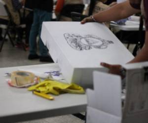 Según la aclaratoria del TSE estas fueron utilizadas para educar a miembros de las Mesas Electorales Receptoras (MER) del Partido Movimiento Solidario Vamos. (Foto: TSE/ El Heraldo Honduras/ Noticias Honduras hoy)