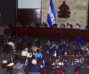 Los diputados han hecho varios requerimientos presupuestarios para 2015.