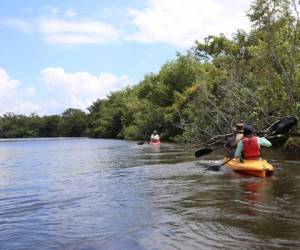 Los visitantes pueden descubrir desde el agua la fauna nativa y ver el vuelo de las aves.