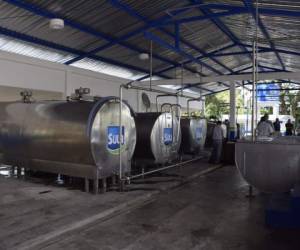 El centro de recolección del excedente de leche fluida para transformarla en polvo se encuentra en San Esteban, Olancho.