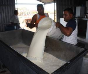 Al mejorar la calidad de la leche, las plantas artesanales pueden tener la oportunidad de exportar lácteos, ya que en la actualidad de las 472 ninguna se encuentra certificada.