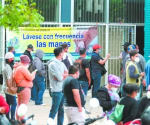 Las extensas filas se observan desde la mañana. Foto: Marvin Salgado/ El HERALDO