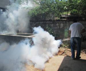 Las masivas campañas de limpieza, abatización y fumigación en diferentes municipios, así como sus ciclos, han sido las claves.