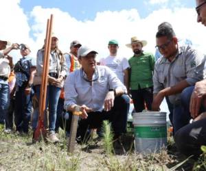 El presidente Juan Orlando Hernández, luego de sembrar un árbol. Foto: EL HERALDO