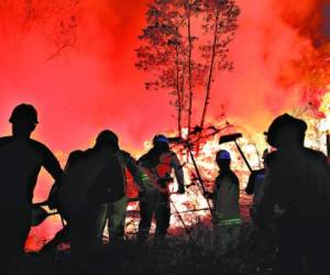 Una ardua labor que ya cumple 48 horas realizan decenas de socorristas para sofocar por segunda vez las llamas en El Hatillo. Foto: EL HERALDO.