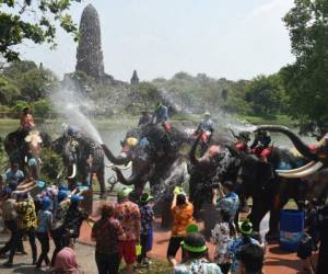 Los visitantes y los elefantes se salpican agua durante una ceremonia antes del festival.