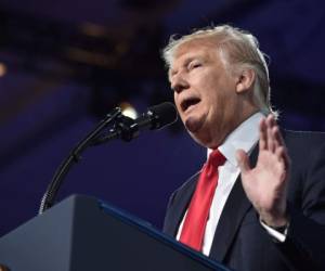 US President Donald Trump addresses the Conservative Political Action Conference (CPAC) at National Harbor, Maryland, on February 24, 2017. / AFP PHOTO / NICHOLAS KAMM