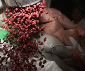 Las bodegas del IHMA guardarán el grano que llegue de Etiopía.