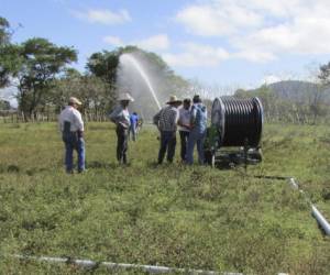 Solo el 25 por ciento de las tierras del valle de Jamastrán disponen de un sistema de riego en los cultivos.