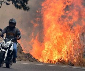 Aunque el número de incendios forestales en Honduras ha sido menor este 2019 con respecto al año anterior, el daño causado ha sido mayor. Foto: AFP.
