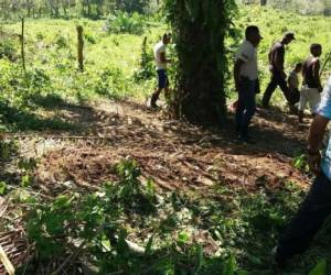 Los fragmentos del cuerpo yacían en medio de un plantación de palmeras. (Foto: El Heraldo Honduras)