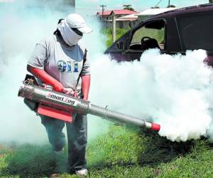 Más de 1,600 viviendas serán intervenidas en el combate al dengue, en la colonia Nueva Suyapa.