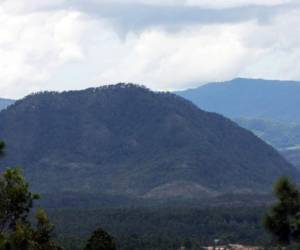 Yerba Buena es una reserva biológica de 3,510 hectáreas ubicada en el municipio de Lepaterique, Francisco Morazán. Foto: EL HERALDO.