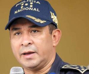 José Luis Muñoz Licona fue director de la Policía Nacional y es señalado de participar en el crimen contra el zar antidrogas, foto: EL HERALDO.