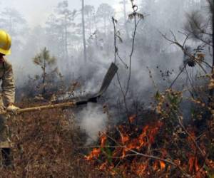 En todo Honduras los bomberos han atendido 2,163 incendios forestales, estructurales y vehiculares. Foto: EL HERALDO