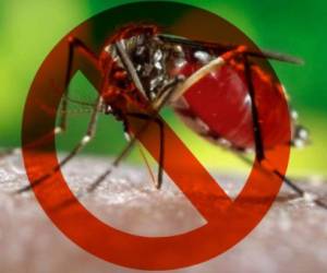 Concluida la epidemia del zika en Colombia