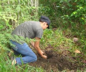 La Secretaría de Educación anunció recientemente que analiza incluir otras actividades como opción a la alfabetización, podría volver a incluir acciones como la reforestación o la construcción de obras.