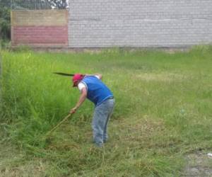 Al menos 150 han sido intervenidos por el personal de la comuna luego que los vecinos denunciaran que los terrenos arropados de maleza.