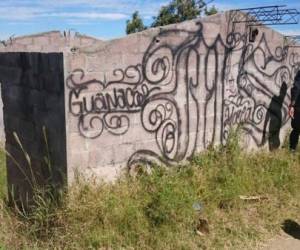 Soldados, policías y estudiantes comenzaron a cubrir con pintura los grafitis de las pandillas en colonias y barrios de San Salvador y el departamento vecino de La Libertad.